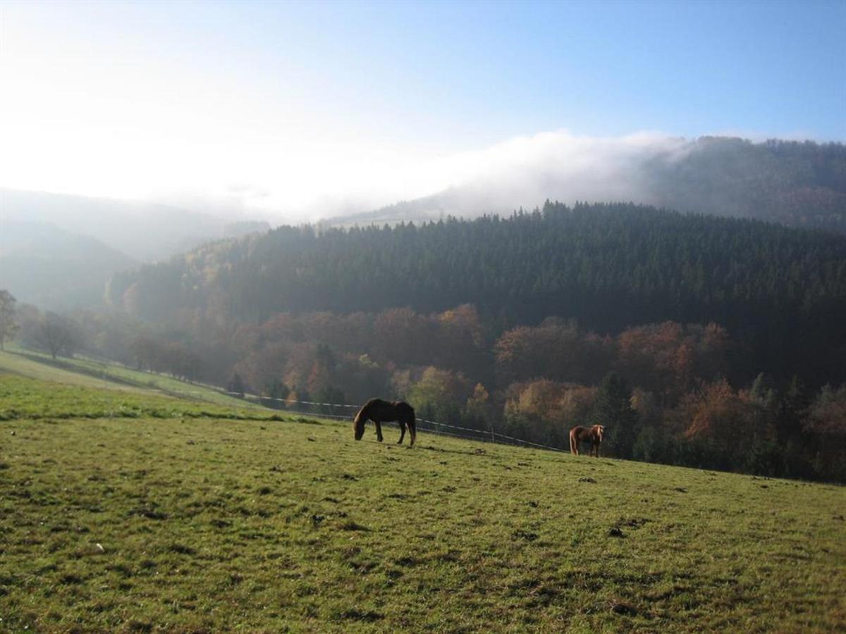 Ferienhaus Rhoenspass Mosbach  Eksteriør bilde